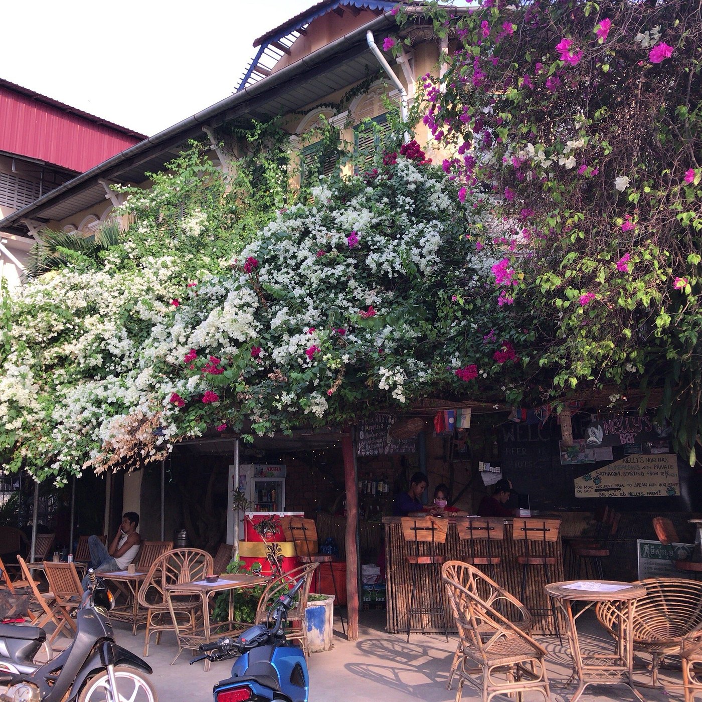 Ecran Noodle & Dumplings